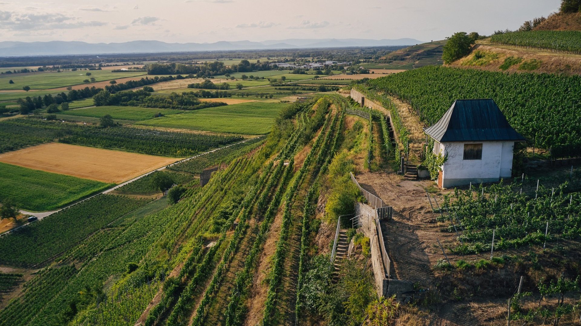 Herr und Frau Heger im Weinkeller.